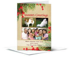 Christmas Season's Greetings Holiday Mistletoe Cards with multiple photo 5.50